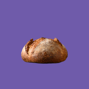 Panecook